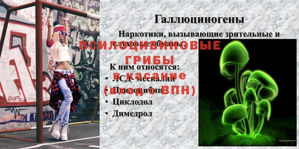 гидра Нязепетровск
