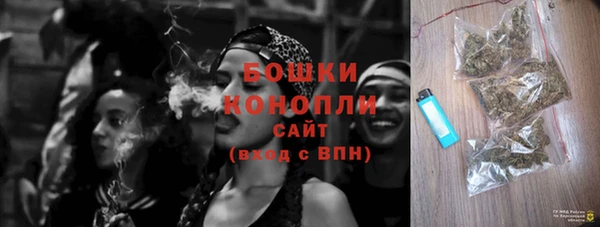 PSILOCYBIN Няндома