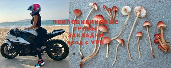 гидра Нязепетровск