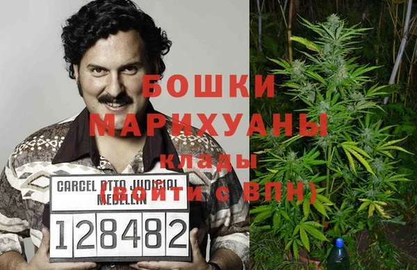 гидра Нязепетровск
