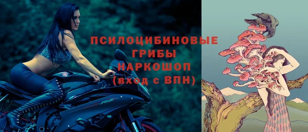 прущая мука Осинники