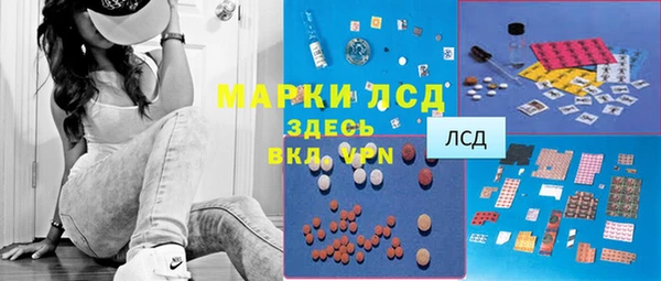 PSILOCYBIN Няндома