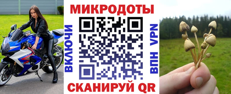 наркошоп  Кириллов  Галлюциногенные грибы Psilocybe 